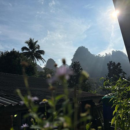 Khao Sok Backpacker Hostel Khao Sok National Park Dış mekan fotoğraf