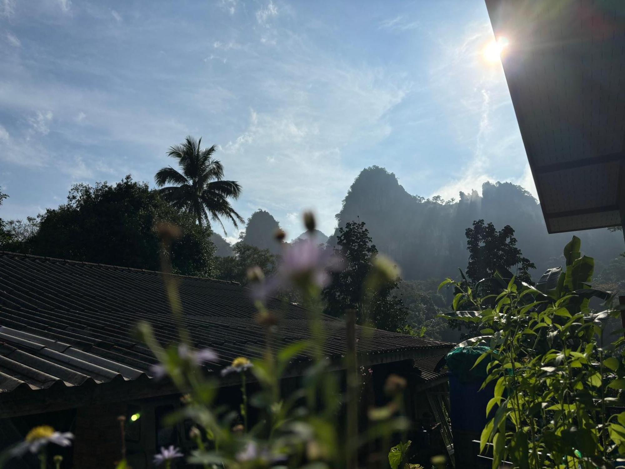 Khao Sok Backpacker Hostel Khao Sok National Park Dış mekan fotoğraf
